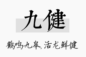 九健名字的寓意及含义