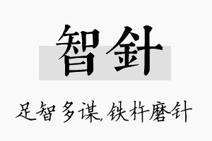 智针名字的寓意及含义