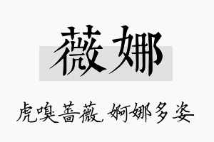 薇娜名字的寓意及含义