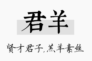 君羊名字的寓意及含义