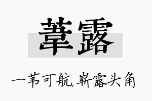 苇露名字的寓意及含义