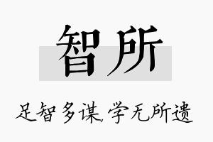 智所名字的寓意及含义