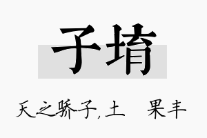 子堉名字的寓意及含义