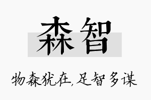 森智名字的寓意及含义