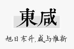 东咸名字的寓意及含义