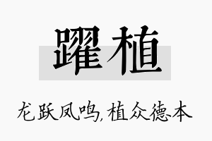 跃植名字的寓意及含义