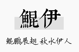 鲲伊名字的寓意及含义