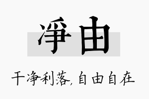 净由名字的寓意及含义