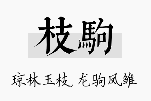 枝驹名字的寓意及含义