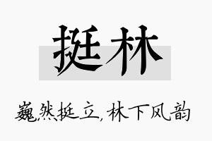 挺林名字的寓意及含义