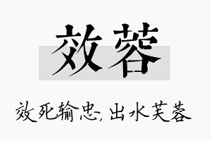 效蓉名字的寓意及含义