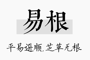 易根名字的寓意及含义