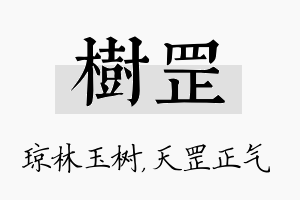 树罡名字的寓意及含义