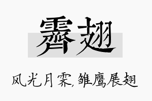 霁翅名字的寓意及含义