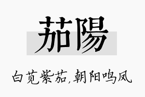 茄阳名字的寓意及含义