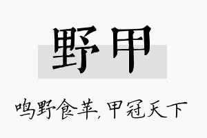 野甲名字的寓意及含义