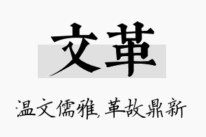 文革名字的寓意及含义