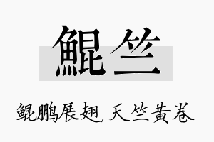 鲲竺名字的寓意及含义