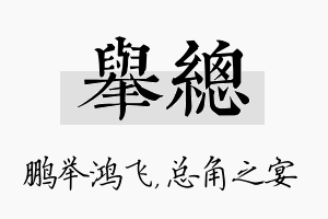 举总名字的寓意及含义