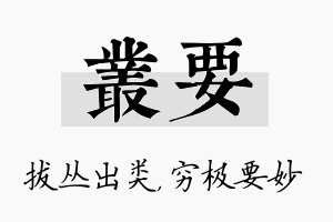 丛要名字的寓意及含义