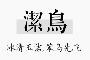 洁鸟名字的寓意及含义