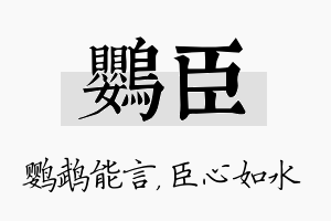 鹦臣名字的寓意及含义