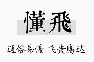 懂飞名字的寓意及含义