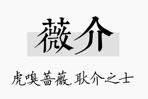 薇介名字的寓意及含义