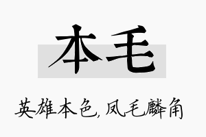 本毛名字的寓意及含义