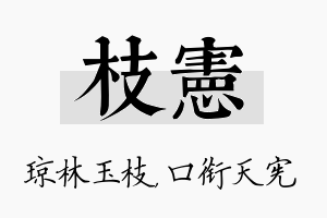 枝宪名字的寓意及含义