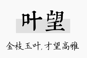 叶望名字的寓意及含义