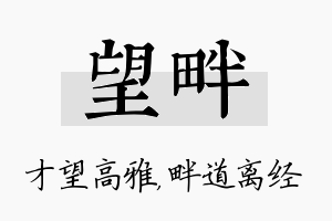 望畔名字的寓意及含义