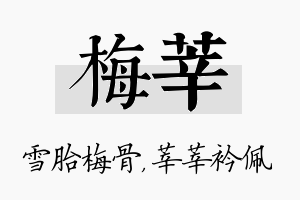 梅莘名字的寓意及含义