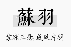 苏羽名字的寓意及含义