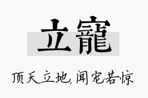 立宠名字的寓意及含义