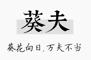 葵夫名字的寓意及含义