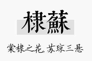 棣苏名字的寓意及含义