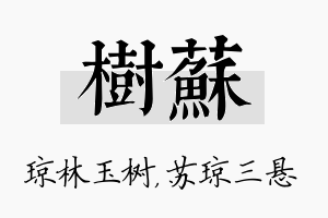 树苏名字的寓意及含义