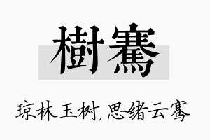 树骞名字的寓意及含义