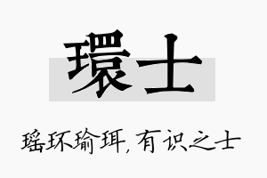 环士名字的寓意及含义