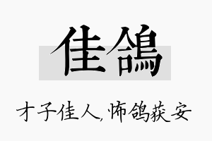 佳鸽名字的寓意及含义