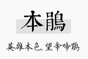 本鹃名字的寓意及含义