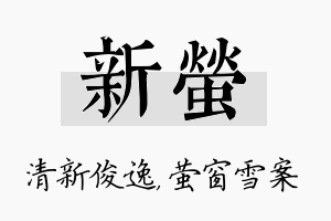 新萤名字的寓意及含义