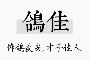 鸽佳名字的寓意及含义