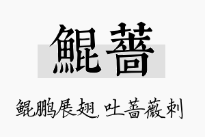 鲲蔷名字的寓意及含义