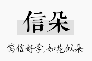 信朵名字的寓意及含义