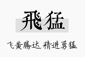 飞猛名字的寓意及含义