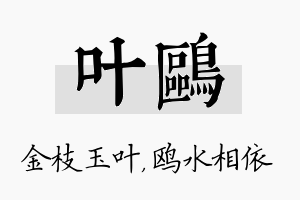 叶鸥名字的寓意及含义