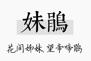 妹鹃名字的寓意及含义