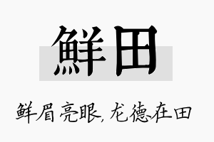 鲜田名字的寓意及含义